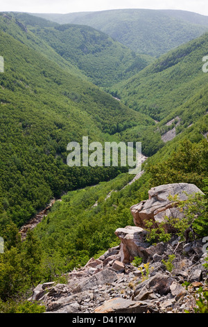 La Mackenzie River Valley sul Cabot Trail, Cape Breton, Nova Scotia Foto Stock