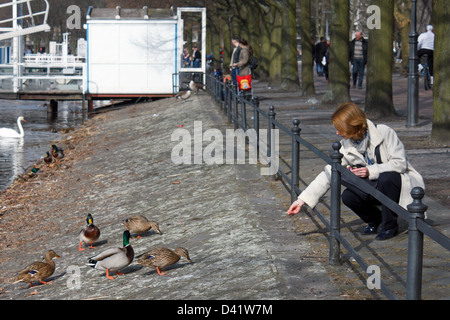 Berlino, Germania, una donna alimentazione di anatre al Lago di Tegel Foto Stock