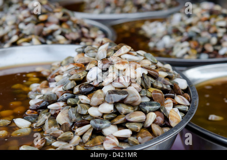 Conservate il rasoio clam pronti per la vendita in mercati Foto Stock