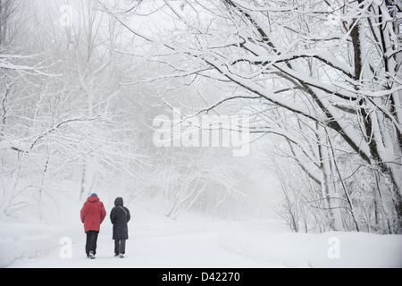 Giovane camminando nella nebbia in coperta di neve Mont Royal Park in inverno, Parc du Mont Royal, Montreal, Quebec, Canada Foto Stock
