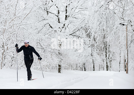 L'uomo cross-crountry skying in coperta di neve Mont Royal Park in inverno, Parc du Mont Royal, Montreal, Quebec, Canada Foto Stock