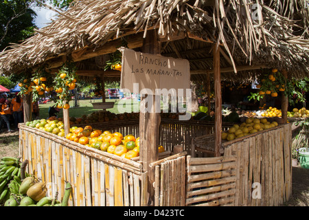 Segno su di un fornitore capanna di paglia stand al Festival de la Naranja. Foto Stock