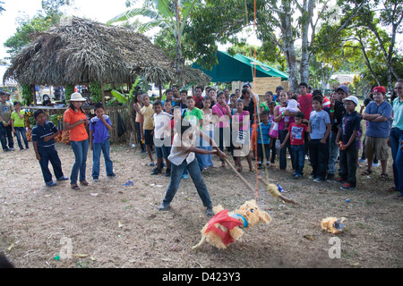 Un ragazzo panamense cercando di rompere una pinata al Festival de la Naranja. Foto Stock