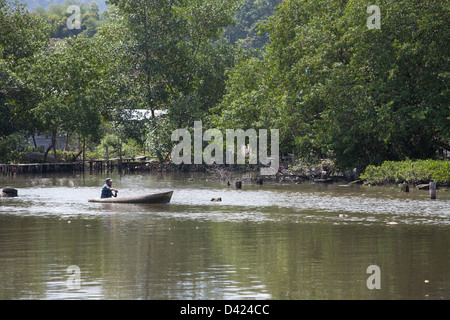 Uomo panamense su un tradizionale canoa / cayuca canottaggio nell'acqua. Foto Stock