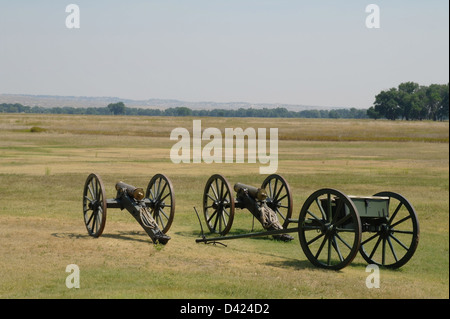 Due storici 'Napoleone' cannoni in piedi su una grande distesa di verde erba verso alberi lontani, Fort Laramie, Wyoming USA Foto Stock