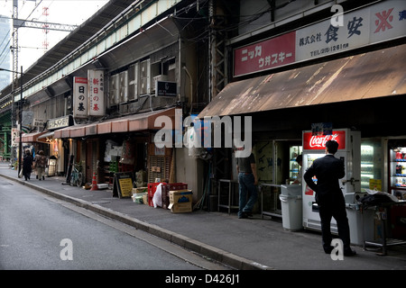 Negozi e ristoranti condividono lo spazio da lato a lato sotto la ferrovia sopraelevata le vie di Tokyo del distretto di Yurakucho. Foto Stock