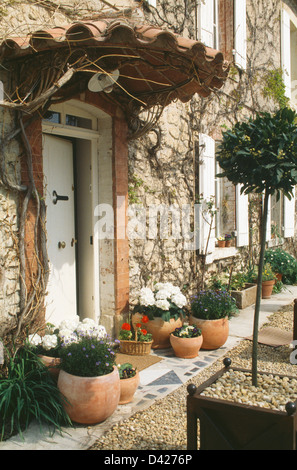 Vasi di gerani di colore bianco e agganciata bay tree in pentola a fianco bianco dello sportello anteriore con portico pantiled francese di country house Foto Stock