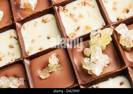 Varie praline di cioccolato Foto Stock