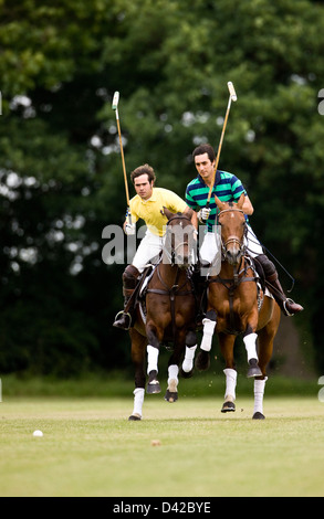 Giocatori di polo in rivalità per la sfera Foto Stock