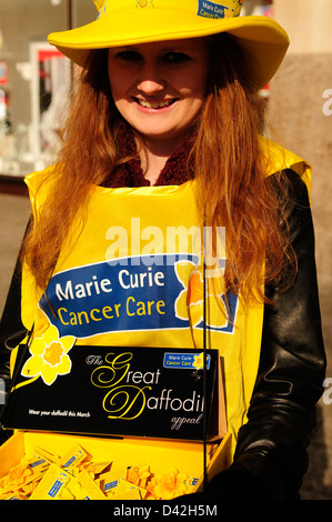 Borse Marie Curie di ospitalità,la cura del cancro di carità .Il Grande Daffodil appello. Foto Stock