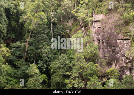 Montare Hypipamee cratere, North Queensland, Australia Foto Stock