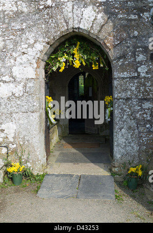 Il Daffodil Festival a San Mawgan-in-Meneage chiesa in Cornovaglia Foto Stock