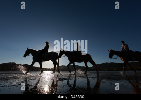 Santa Margherita di Pula, Italia, cavalcate a cavallo sulla spiaggia Foto Stock