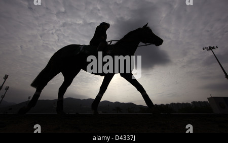 Hong Kong, Cina, cavallo e cavaliere da nubi minacciose nel cielo Foto Stock