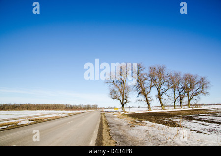 Strada vuota con un gruppo di alberi a lato della strada in un paesaggio di primavera Foto Stock