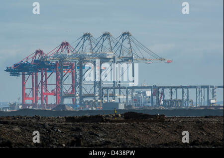 DP London Gateway, Coryton, Essex, Regno Unito. Il 3° marzo 2013. Una serie di enormi gru arriva su una nave a quello che sarà il più grande del Regno Unito, contenitore porta a causa di aprire entro la fine di quest'anno. La massiccia gru sono i primi ad arrivare e sono state costruite da Shanghai Zhenhua Heavy Industries in Cina. Ciascuno è oltre 138m alta e la torre sopra il paesaggio sul Fiume Tamigi. Essi sono dovuti ad essere messi a terra al porto di domani. Credito: Allsorts Stock Photo/ Alamy Live News Foto Stock