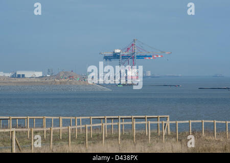 DP London Gateway, Coryton, Essex, Regno Unito. Il 3° marzo 2013. Una serie di enormi gru arriva su una nave a quello che sarà il più grande del Regno Unito, contenitore porta a causa di aprire entro la fine di quest'anno. La massiccia gru sono i primi ad arrivare e sono state costruite da Shanghai Zhenhua Heavy Industries in Cina. Ciascuno è oltre 138m alta e la torre sopra il paesaggio sul Fiume Tamigi. Essi sono dovuti ad essere messi a terra al porto di domani. Credito: Allsorts Stock Photo/ Alamy Live News Foto Stock