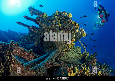 Naufragio Francesca da Rimini e subacqueo e anti-aircraftgun, isola di Kaprije, Sibenik, Vodice, Croazia, Mare Mediterraneo Foto Stock