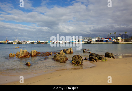 Un modello di rocce a harbor Kalk Bay Beach, vicino a Città del Capo in Sud Africa. Foto Stock