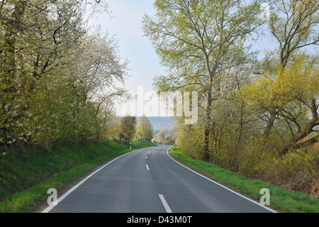 Strada di campagna, Schaafheim, Darmstadt-Dieburg, Hesse, Germania Foto Stock