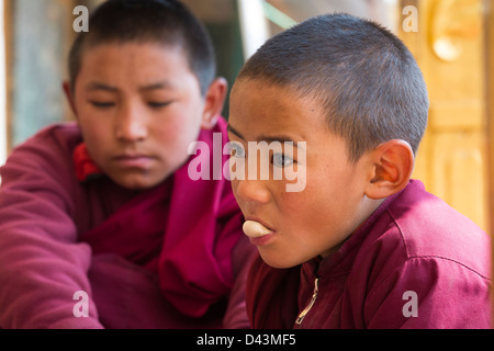 Giovane monaco, Stupa Boudhanath, Kathmandu, Nepal Foto Stock