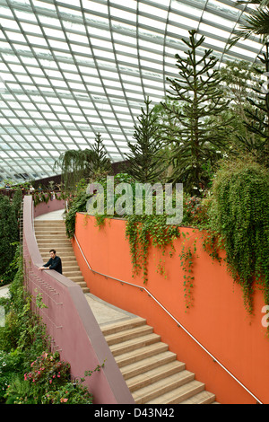 Giardini dalla baia, Singapore Singapore. Architetto: Wilkinson Eyre Architects, Grant Associates, 2011. Il fiore interno a cupola Foto Stock