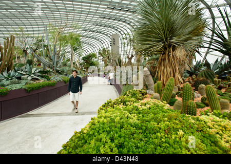 Giardini dalla baia, Singapore Singapore. Architetto: Wilkinson Eyre Architects, Grant Associates, 2011. Cupola di fiori interni. Foto Stock