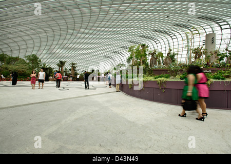 Giardini dalla baia, Singapore Singapore. Architetto: Wilkinson Eyre Architects, Grant Associates, 2011. Cupola di fiori interni. Foto Stock