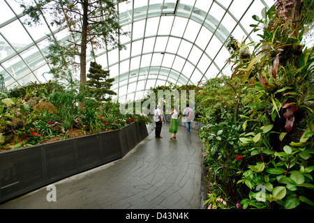 Giardini dalla baia, Singapore Singapore. Architetto: Wilkinson Eyre Architects, Grant Associates, 2011. Cloud Forest Dome. Foto Stock