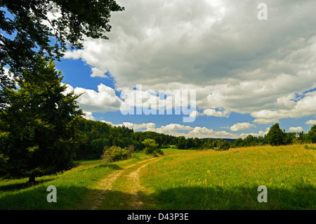 Ebingen, Albstadt, Zollernalbkreis, Alpi sveve, Baden-Württemberg, Germania Foto Stock