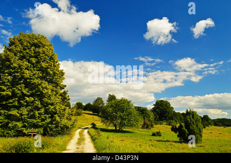 Ebingen, Albstadt, Zollernalbkreis, Alpi sveve, Baden-Württemberg, Germania Foto Stock