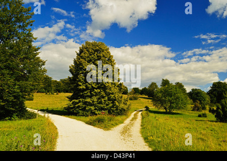 Ebingen, Albstadt, Zollernalbkreis, Alpi sveve, Baden-Württemberg, Germania Foto Stock