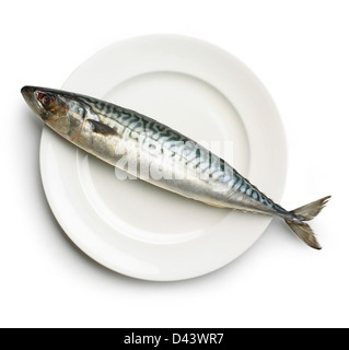 Pesce crudo su una piastra tagliata su sfondo bianco Foto Stock
