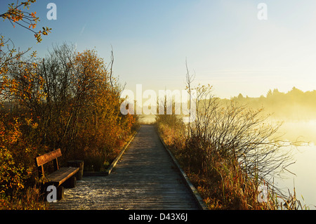 Schwenninger Moos, Villingen-Schwenningen, Schwarzwald-Baar, Foresta Nera, Baden-Württemberg, Germania Foto Stock