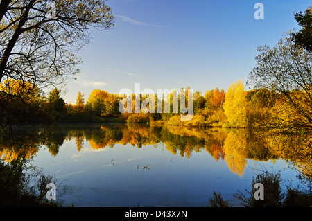 Schwenninger Moos, Villingen-Schwenningen, Schwarzwald-Baar, Foresta Nera, Baden-Württemberg, Germania Foto Stock