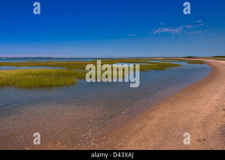 Litorale a a Provincetown, Cape Cod, Massachusetts, STATI UNITI D'AMERICA Foto Stock