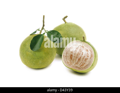 Thai pomelo frutto di grande gusto della frutta tropicale visualizzare su bianco Foto Stock
