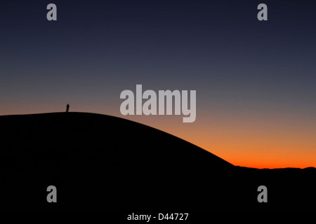 Tramonto su una duna di sabbia Foto Stock