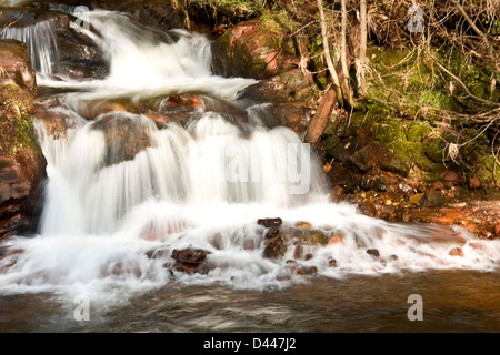 Che scorre veloce acque del "Bianco Burn' che confluiscono nel fiume South Esk a Shielhill ponte di Angus, Scotland Regno Unito Foto Stock