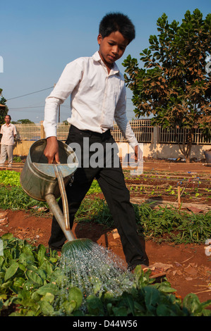 I bambini e gli studenti della scuola di irrigazione giardino in Banlung, Ratanakiri Cambogia. Foto Stock