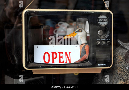 Strano segno aperto con seagull nella finestra cafe BRIGHTON REGNO UNITO Foto Stock