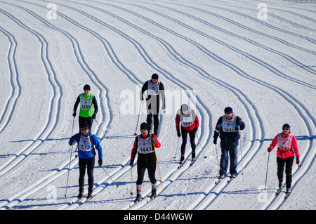 Un piccolo gruppo di appassionati di sci presso la pista di Bieg Piastow cross-country race, Jakuszyce, Polonia. Foto Stock