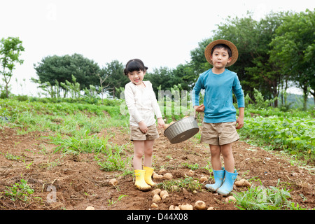 I bambini in un'azienda agricola un cesto di patate insieme Foto Stock