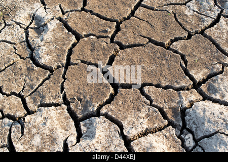 Cracking secco argilla del suolo in un lago indiano bed pattern. India Foto Stock