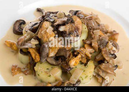 Pollo e funghi in una salsa cremosa con cipolle e herby purea di patate servita su una piastra bianca Foto Stock