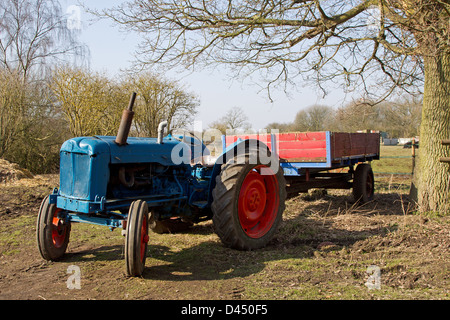 Un vecchio Fordson Major del trattore sotto un albero in un campo