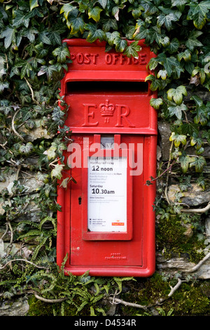 Britannico rosso post box set in una parete coperta di edera. Foto Stock