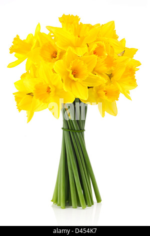 Bouquet di giallo la quaresima lily (daffodil) isolato su sfondo bianco. Foto Stock