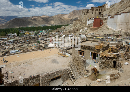 Leh Palace che sovrasta le case della città vecchia, Leh, (Ladakh) Jammu e Kashmir India Foto Stock