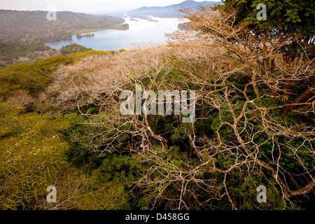 Vista da Gamboa oltre la foresta pluviale del Parco nazionale di Soberania e Rio Chagres, Repubblica di Panama. Foto Stock